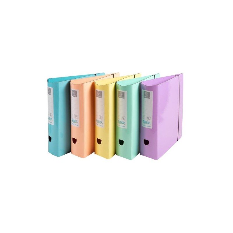 ARCHIVADOR EXAC- CARTON FR- A4 80 SURT-