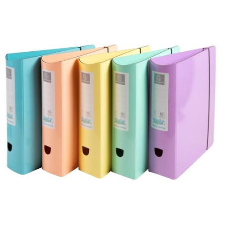 ARCHIVADOR EXAC- CARTON FR- A4 80 SURT-
