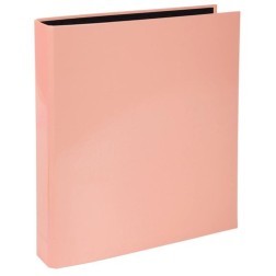 CARPETA EXACOMPTA FORR- A4 2 AN-25 CORAL