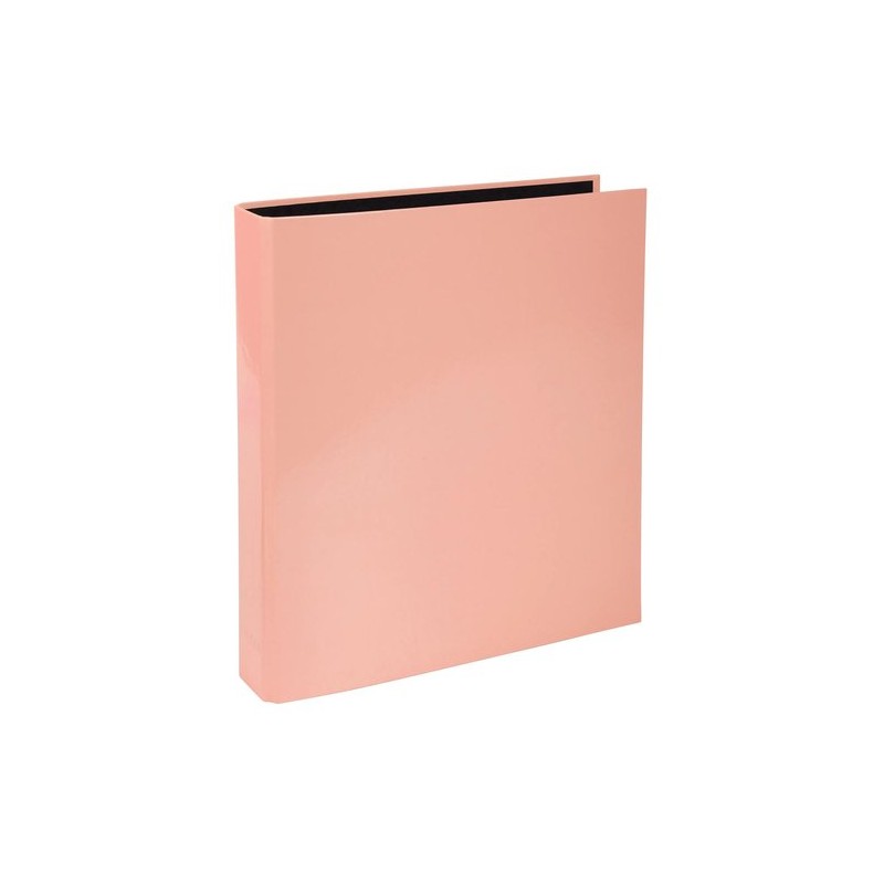 CARPETA EXACOMPTA FORR- A4 2 AN-25 CORAL