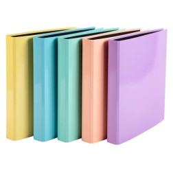 CARPETA EXACOMPTA FORR- A4 2 AN-25 SURT-