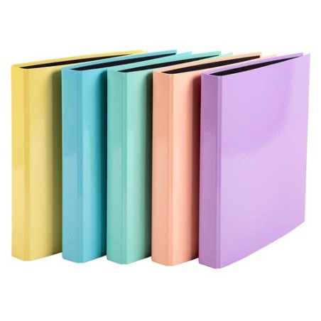 CARPETA EXACOMPTA FORR- A4 2 AN-25 SURT-