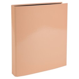 CARPETA EXACOMPTA FORR- A4 4 AN-25 CORAL