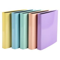 CARPETA EXACOMPTA FORR- A4 4 AN-25 SURT-