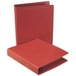 CARPETA SARO CART-Fº AP-2 AN-25