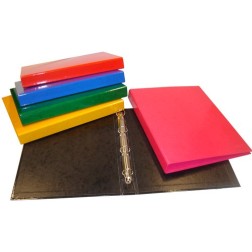 CARPETA SARO CART-FOR-Fº 2 AN-25 MX COL