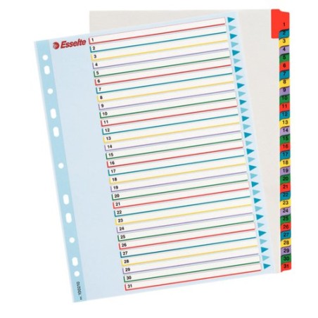INDICE ESSELTE CART-BORR-NUM-A4+ ps-1-31