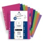 SEPARADORES CARCH-EXTRA PP A4 10 ps- SEPARADORES CARCH-EXTRA PP A4 10 ps-