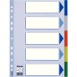 SEPARADORES ESSELTE PP A4 5 ps-IND-COL-