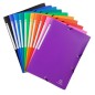 CARPETA SOLAP-EXACOMPTA PP A4 SURT-
