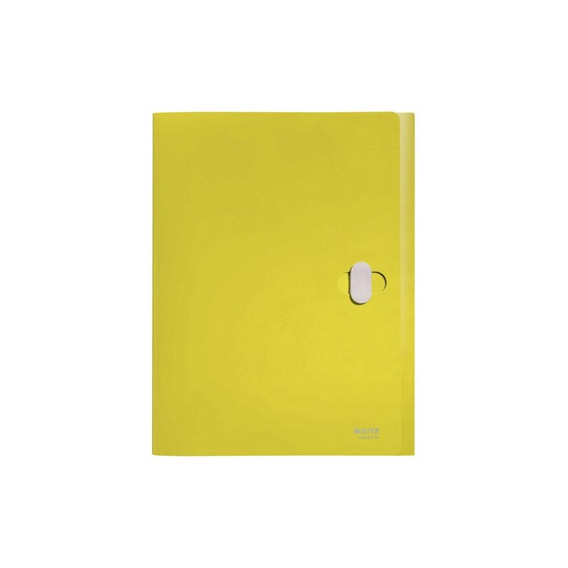 CARP-PROY-LEITZ RECYCLE PP A4 38mm AMARI