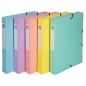 CARP-PROY-EXACOMPTA CARTON A4 4 cm SURT-