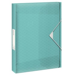 CARP-PROY-ESSELTE PP A4 4 cm AZUL