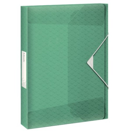 CARP-PROY-ESSELTE PP A4 4 cm VERDE