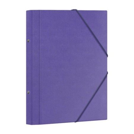CARP-CLASIF-DOHE Fº 12 DP-MORADO