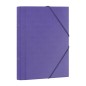 CARP-CLASIF-DOHE Fº 12 DP-MORADO