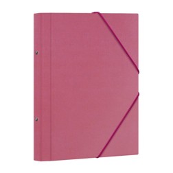 CARP-CLASIF-DOHE Fº 12 DP-ROSA
