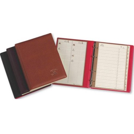 LISTIN TELEF-4a-PARDO 300 MARRON