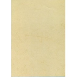 PAPEL HABANA A4 APLI 90g 100h