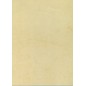 PAPEL HABANA A4 APLI 90g 100h