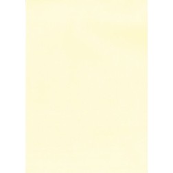 PAPEL VERJUR-A4 APLI 100g 100h CREMA
