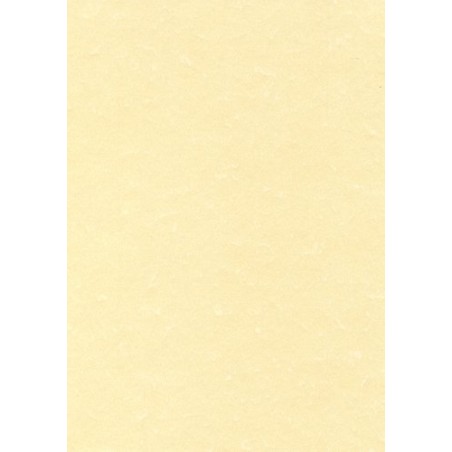 PAPEL PERGAMINO A4 APLI 95g 100h CHAMPAN