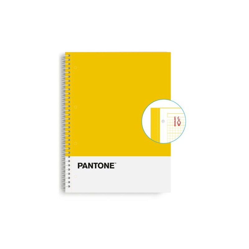 BLOC ESCOL-PANTONE A4 BASIC 80h 5x5 AM