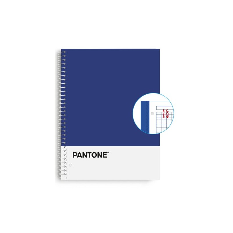 BLOC ESCOL-PANTONE A4 BASIC 80h 5x5 AZ BLOC ESCOL-PANTONE A4 BASIC 80h 5x5 AZ