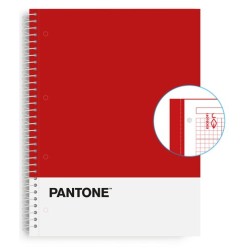 BLOC ESCOL-PANTONE A4 BASIC 80h 5x5 RJ