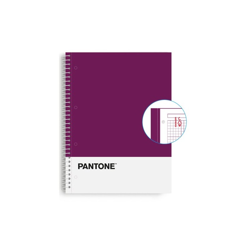 BLOC ESCOL-PANTONE A4 BASIC 80h 5x5 VL BLOC ESCOL-PANTONE A4 BASIC 80h 5x5 VL