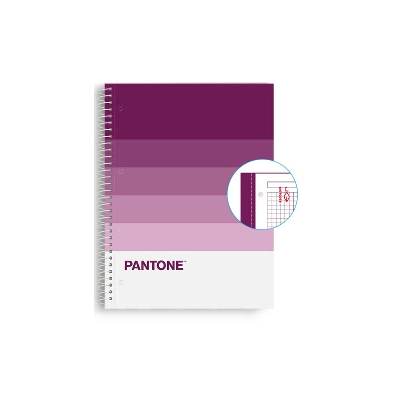 BLOC ESCOL-PANTONE A4 SPEAKS 80h 5x5 FT