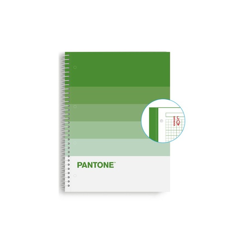 BLOC ESCOL-PANTONE A4 SPEAKS 80h 5x5 NT