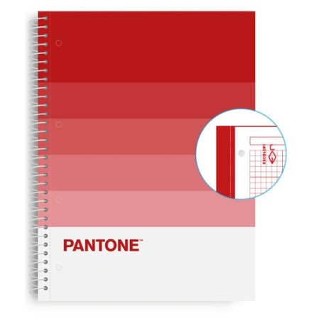BLOC ESCOL-PANTONE A4 SPEAKS 80h 5x5 PS