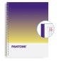 BLOC ESCOL-PANTONE A4 TOGET- 80h 5x5 TM
