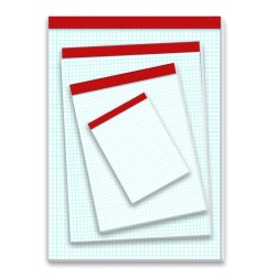 BLOC DE NOTAS PACSA 8º 80h CD-4