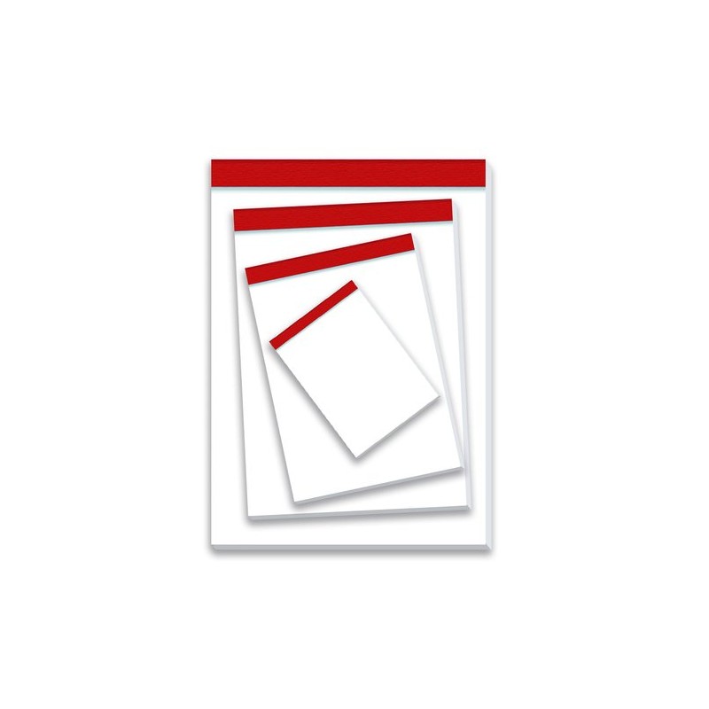 BLOC DE NOTAS PACSA 8º 80h LISO