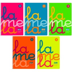 LAMELA BLOC t-PP Fº 80h CDV- 3 SURT-