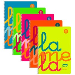 LAMELA BLOC t-PP Fº 80h CDV- 5 SURT-(6)
