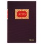 LIBRO CONTAB- Fº 100 HOJAS ACTAS