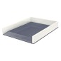 BAND- SOBRE-LEITZ WOW DUAL BLANCO PERLA
