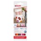 ROT-EDDING 4200 PORCE-COL-CALIDOS- est-6