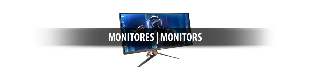 Mailoga-Monitores